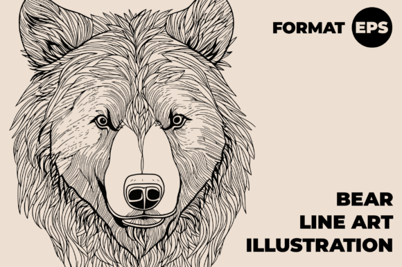 Download Bear Line Art - Line art Collection