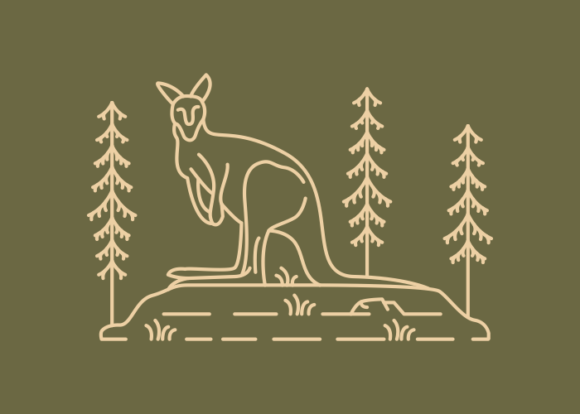 Download Wild Kangaroo Australian Animal - Australia Collection