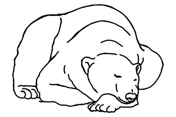 Download Sleeping Polar Bear Line Art Vector - Line art Collection
